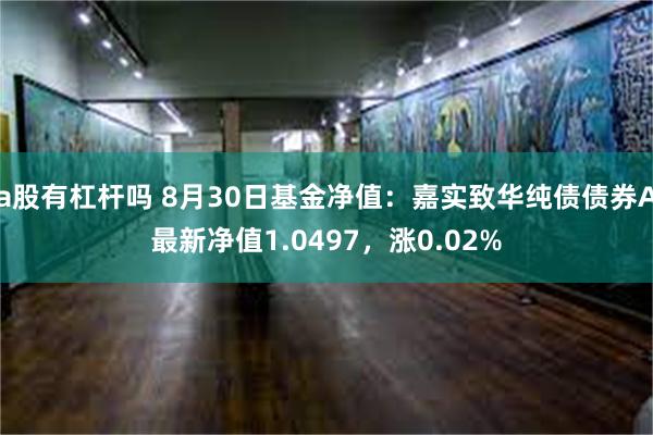 a股有杠杆吗 8月30日基金净值：嘉实致华纯债债券A最新净值1.0497，涨0.02%