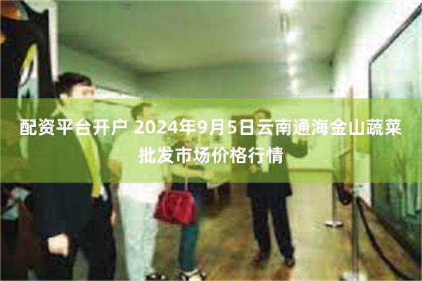 配资平台开户 2024年9月5日云南通海金山蔬菜批发市场价格行情